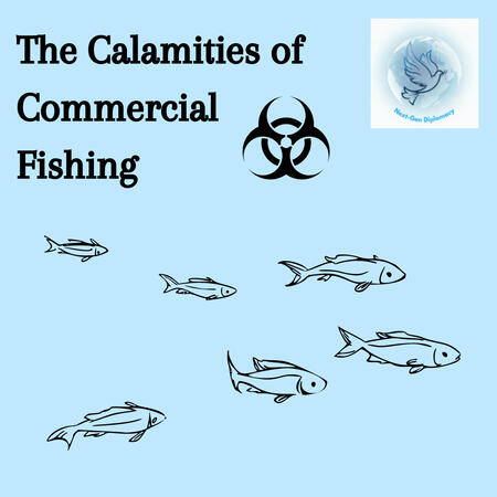 The Calamities of Commercial Fishing